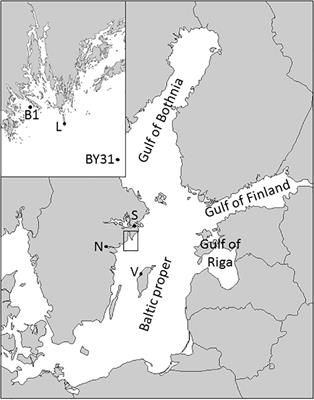 Climate Driven Changes in Timing, Composition and Magnitude of the Baltic Sea Phytoplankton Spring Bloom